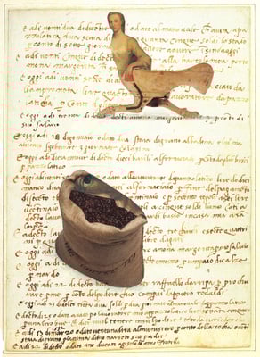 Collage by deborah harris