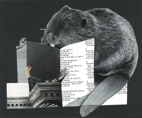 Collage by Sae Kimura