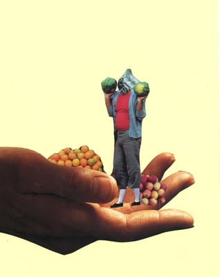 Collage by Sae Kimura