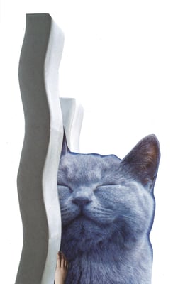 Collage by Sae Kimura