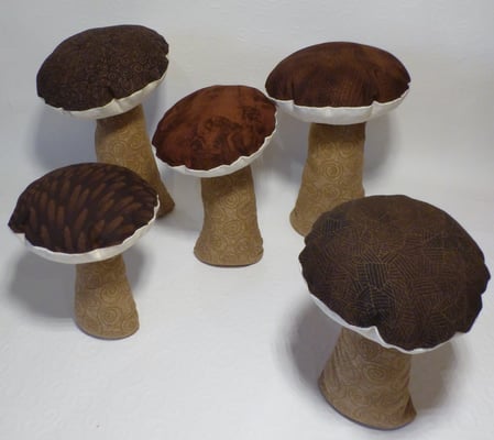 ... und neuerdings wachsen bei mir auch die Steinpilze...