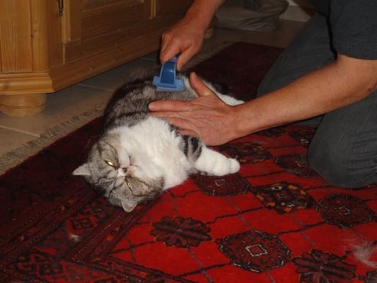 Was gibt es schöneres??????