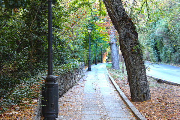 Paseo de Santo Domingo de Guzmán