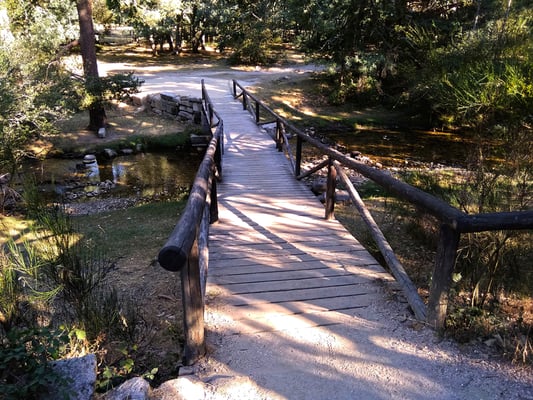 Puente sobre el río Eresma