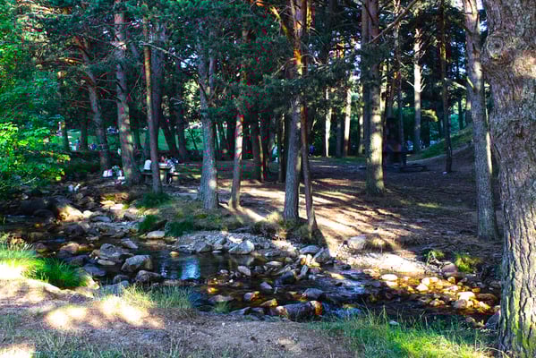 Área Recreativa La Panera en El Espinar (Segovia)