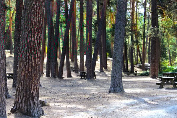 Mesas en el Área Recreativa Los Asientos