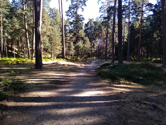 Un paseo por el Área Recreativa Los Asientos