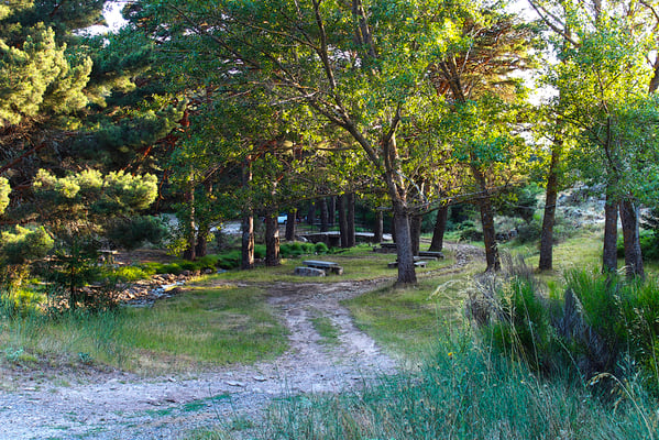 Área Recreativa La Panera en El Espinar (Segovia)