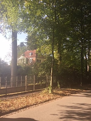 Lambertin Immobilien für Neubauprojekt Buchenallee