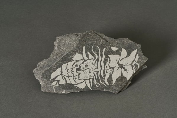 Colectivo Laramascoto