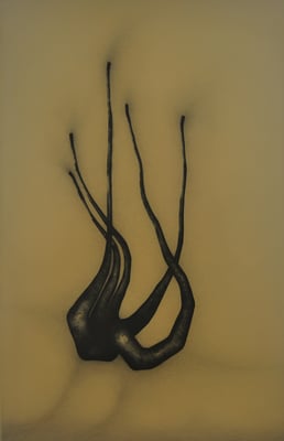 Antonio de Diego Arias