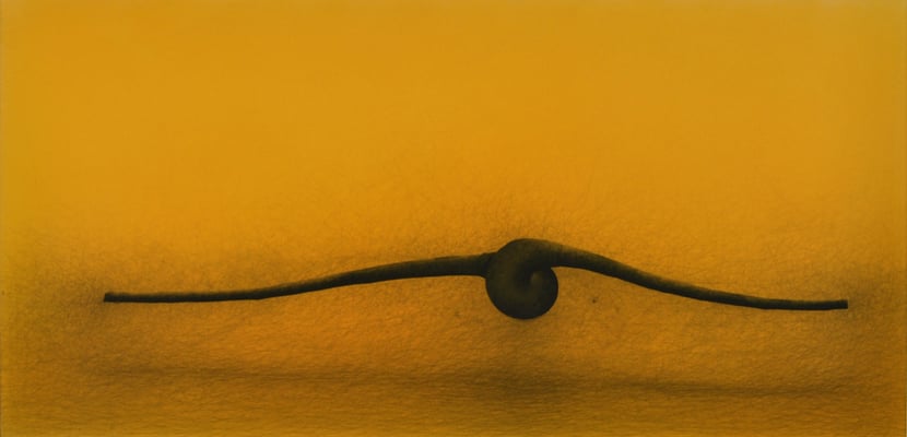 Antonio de Diego Arias