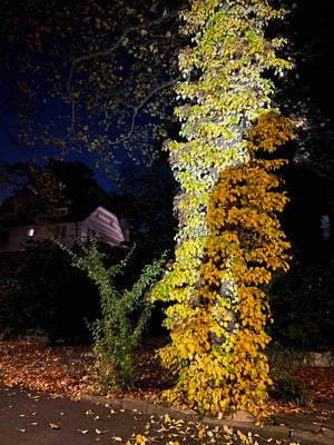 Francisco Uceda. Flame II. Fotografía digital. 54x41 cm. 2023