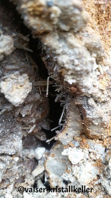 Gipskristalle - Lugnez Val Lumnezia Graubünden Schweiz