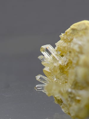 Grüppchen mit Topas