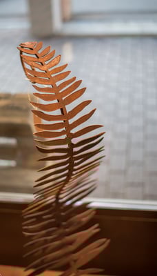 saisonstart sportartineichen