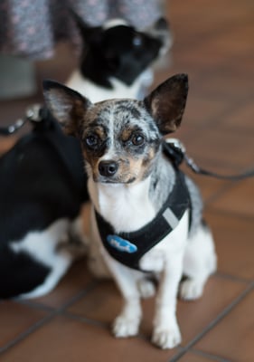 saisonstart sportartineichen