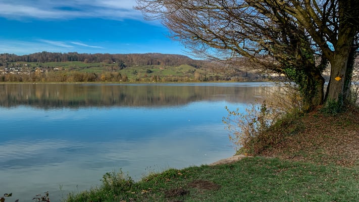 Der Rhein bei Full - ein markierter Wanderweg führt dem Ufer entlang bis zur Aaremündung bei Felsenau. (Foto PC)