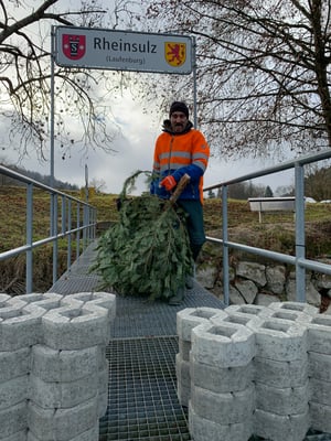 Laichbäume versenken Januar 2022. (Foto PC)