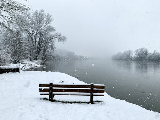 Das Rheinufer in seinem weissen Winterkleid. Rheinsulz, 14.01.2021 (Foto PC)