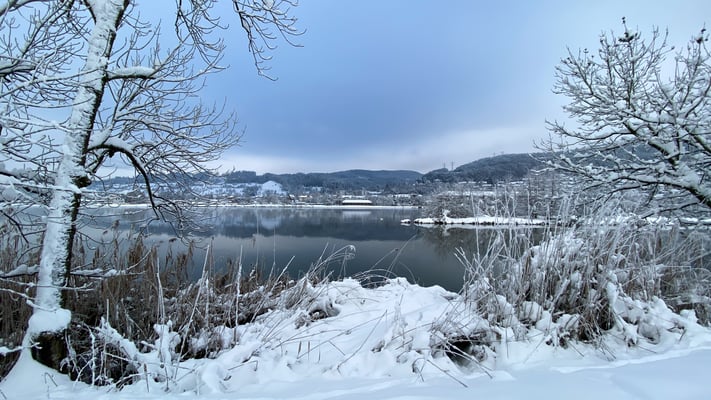 Full, 16. Januar 2021. (Foto CC)