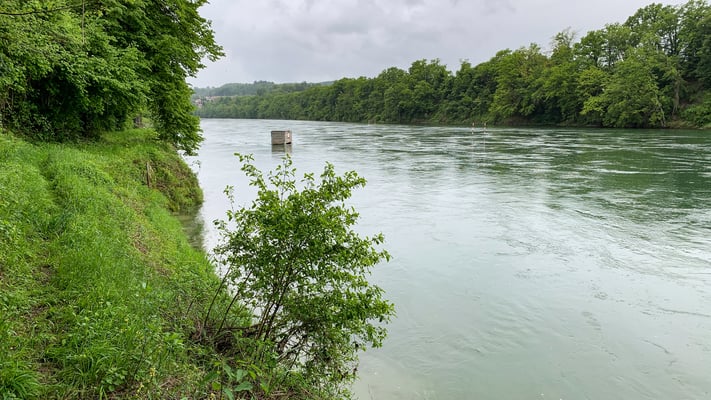 Der Rhein auf Höhe Vereinshaus des Pontonier-Fahrvereins Schwaderloch. (Foto PC)