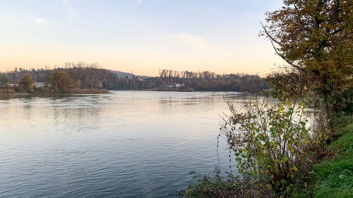 Der Rhein bei Felsenau nahe der Mündung der Aare in den Rhein. (Foto PC)