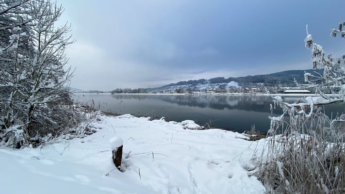 Full, 16. Januar 2021. (Foto CC)