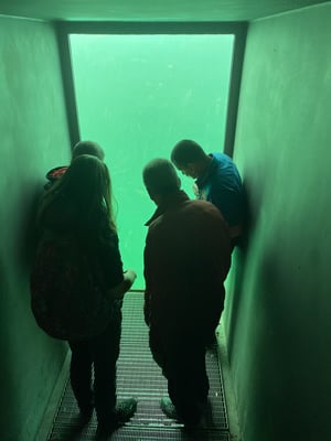 Helferausflug Fischessen 2021 und 2022. (Foto CC)