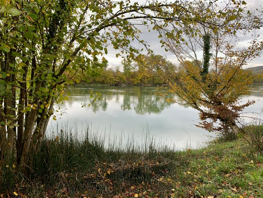 Jungfischer-Anlass 5.11.2022. (Foto PC)