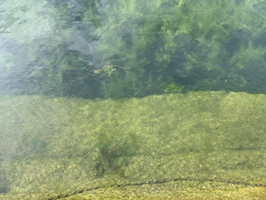 Helferausflug Fischessen 2021 und 2022. (Foto PC)