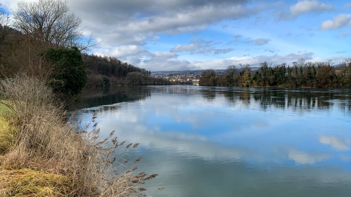 Der Rhein bei Rheinsulz. (Foto PC)