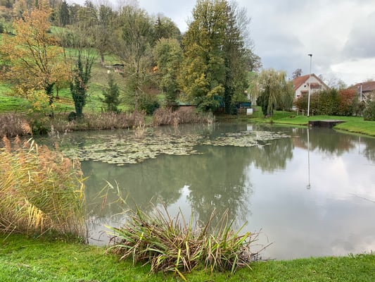 Jungfischer-Anlass 5.11.2022. (Foto PC)