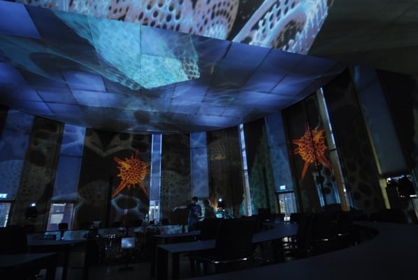 Projektion Jan Gröneveld