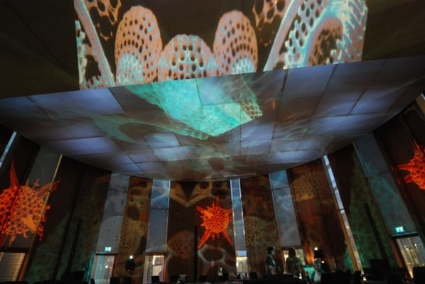 Projektion Jan Gröneveld