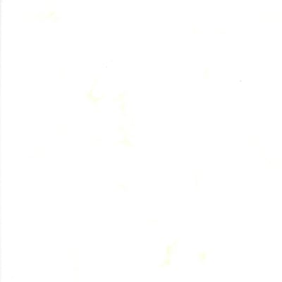 Timeless Treasures Tonga B 7900 Air (tissu blanc-vert)