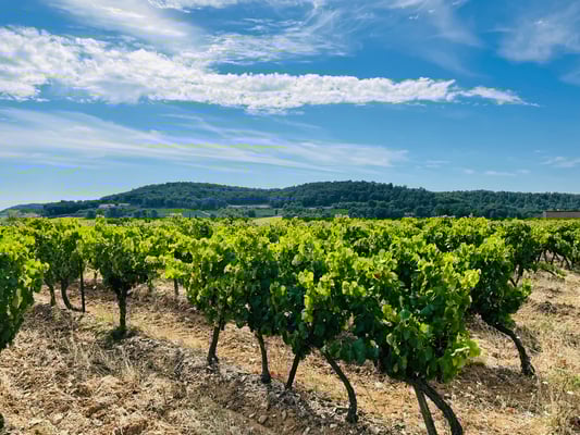 フランスの美しい田舎　オクシタニー地方　プライベートツアー　日本人ガイド