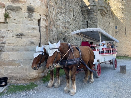 卒業旅行　フランス　ホームステイ　現地日本語サポート