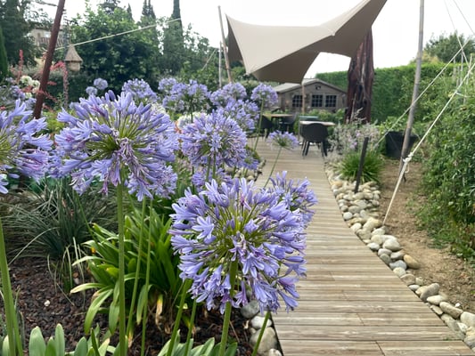 南フランスの田舎　シャトーホテル滞在　プライベートツアー　現地発日本人ガイド