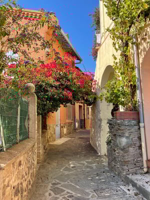 フランスの美しい田舎　オクシタニー地方　プライベートツアー　日本人ガイド