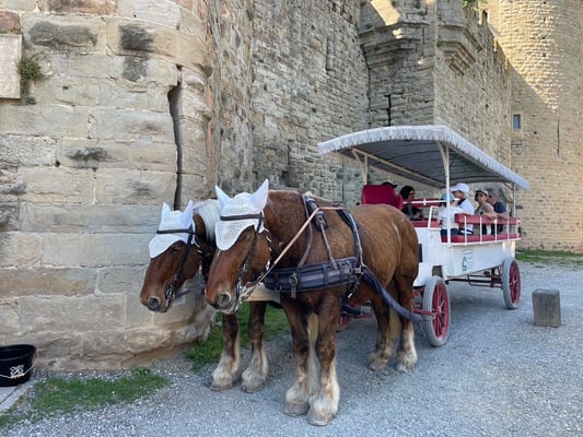パティシエ　フランスの田舎ホームステイ　
