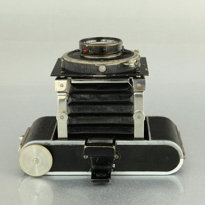 Korelle  ©  engel-art.ch