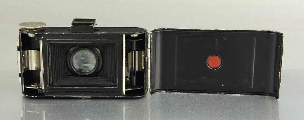 Korelle  ©  engel-art.ch