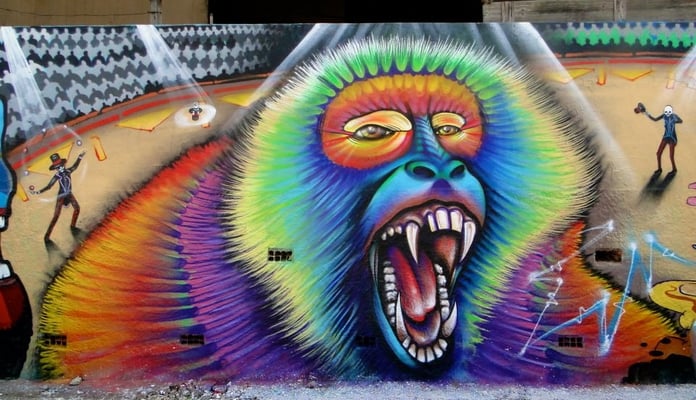 "Mad Circus Monkey"  Detail of mural by Shalak. Brasilandia, Sao Paulo, Brazil. 2013
