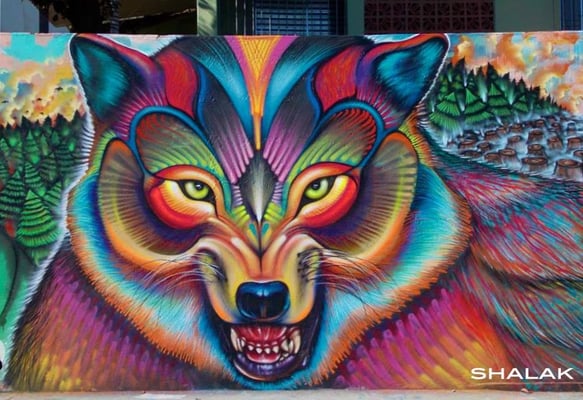 "Loba. Wolf"  Mural by Shalak (3m x 7m) Sao Paulo, Brazil. June 2013  (Rua Parapua com a Macedonia, Brasilandia, zona Norte)