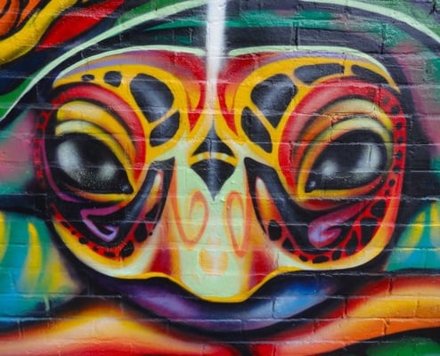"Turtle Island" Detail of mural by Shalak.  Hochelaga, Montreal, Canada.  2011 (Rue Lafontaine & Rue Dezery)
