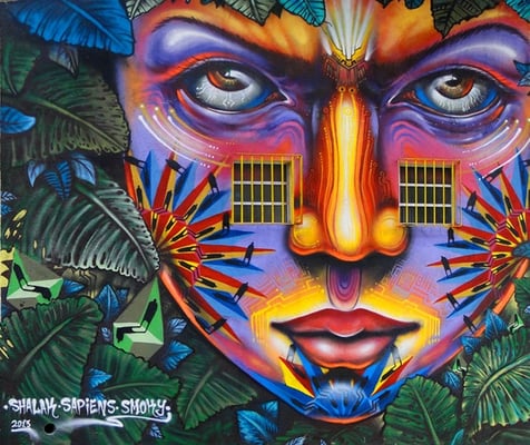 "Aborigen Urbano"  Mural by Shalak, Smoky, Sapiens.  Sao Paulo, Brazil. Feb 2013   (Rua Ipiranga com rua Araujo, Centro)