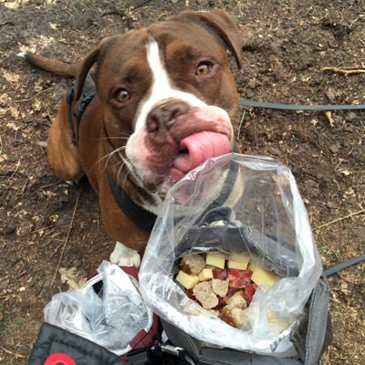 Foto Claudi Scheiblich