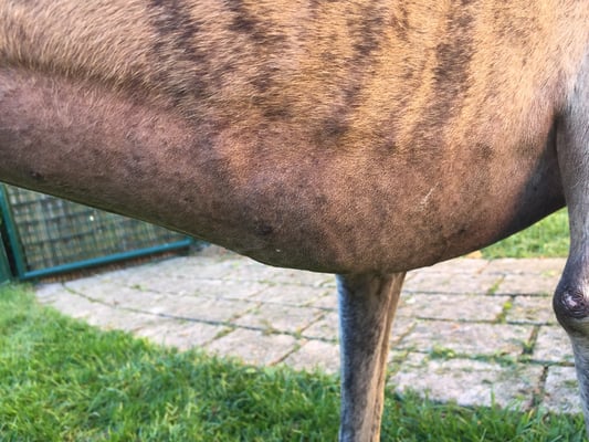 Foto ©Petra Techert