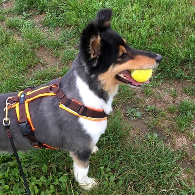 Foto Ute Blaschke-Berthold